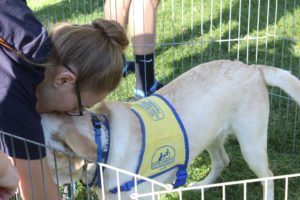 Dogfest Yellow Lab