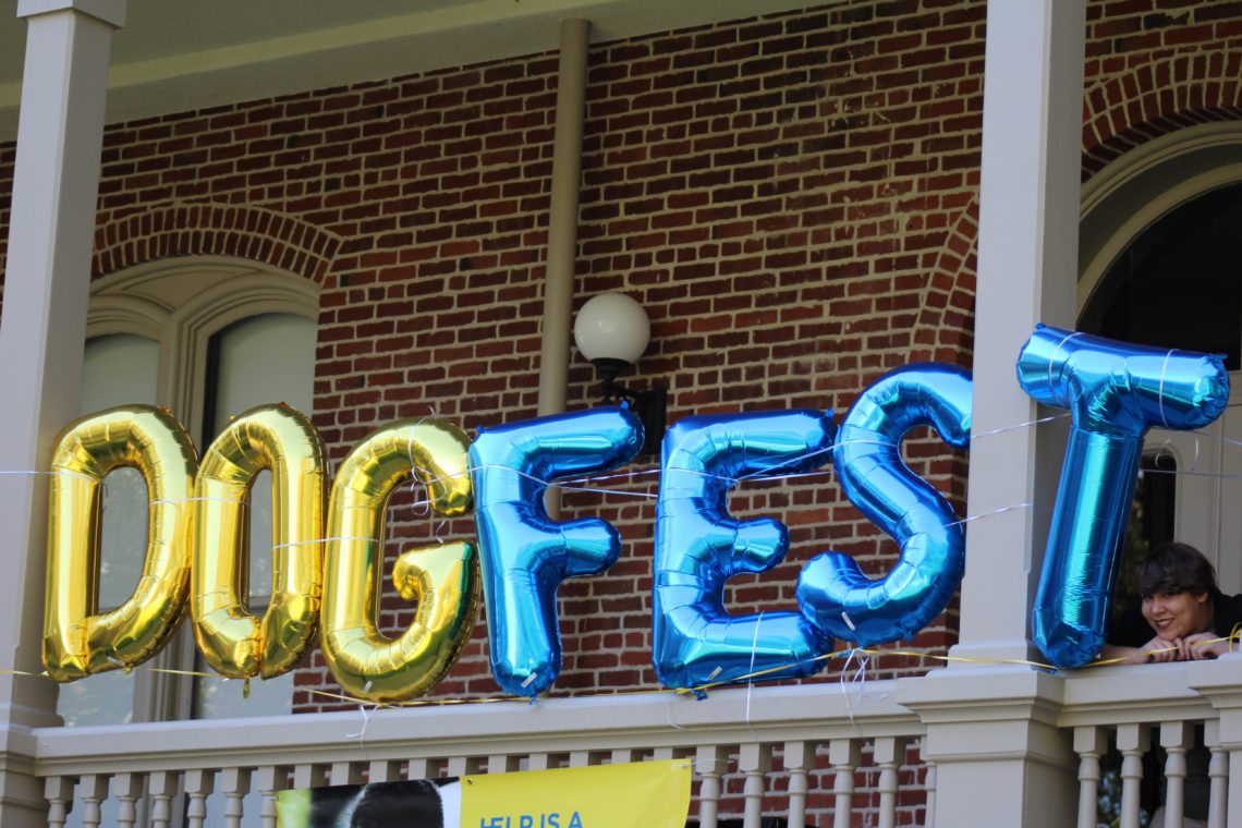 Dogfest Sign