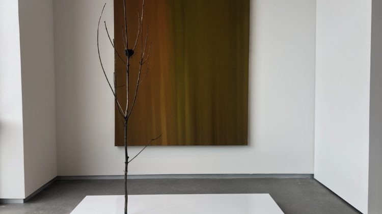 A bare, bronze tree sits on a white panel in front of a sunset painting.