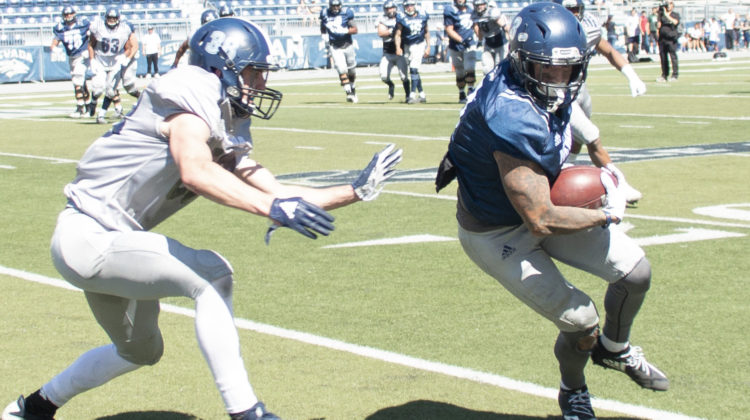 Nevada wide receiver Kaleb Fossum carries the ball after catching a pass at the Silver and Blue spring game.