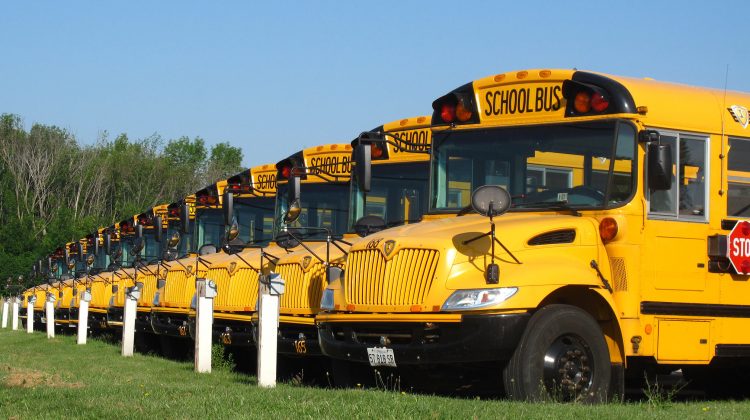 A row of bright yellow school busses