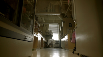 A lab featured in the documentary, “Picture a Scientists,” directed by Sharon Shattuck and Ian Cheney.
