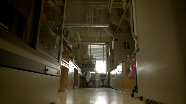 A lab featured in the documentary, “Picture a Scientists,” directed by Sharon Shattuck and Ian Cheney.