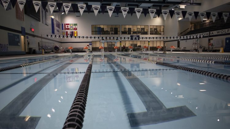 Lanes in the pool