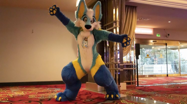 A UNR student dresses as a blue coyote and poses for the camera in the ballroom of the Furry Convention.